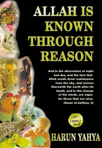 Allah Is Known Through Reason