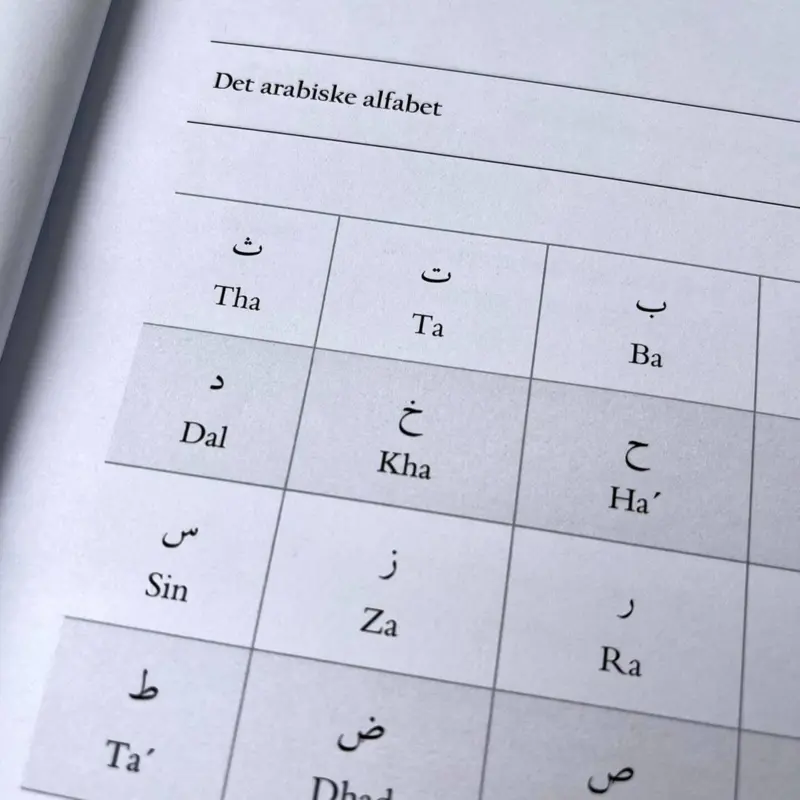 Ausgewählte Konzepte über die Terminologien der Hadithwissenschaft