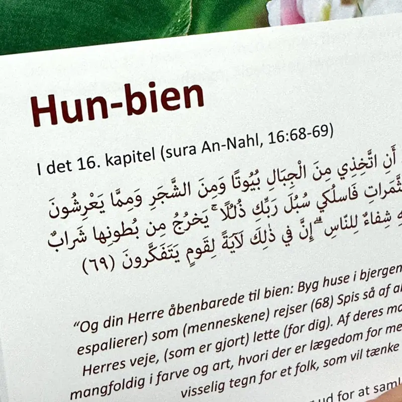 Den forunderlige Koran