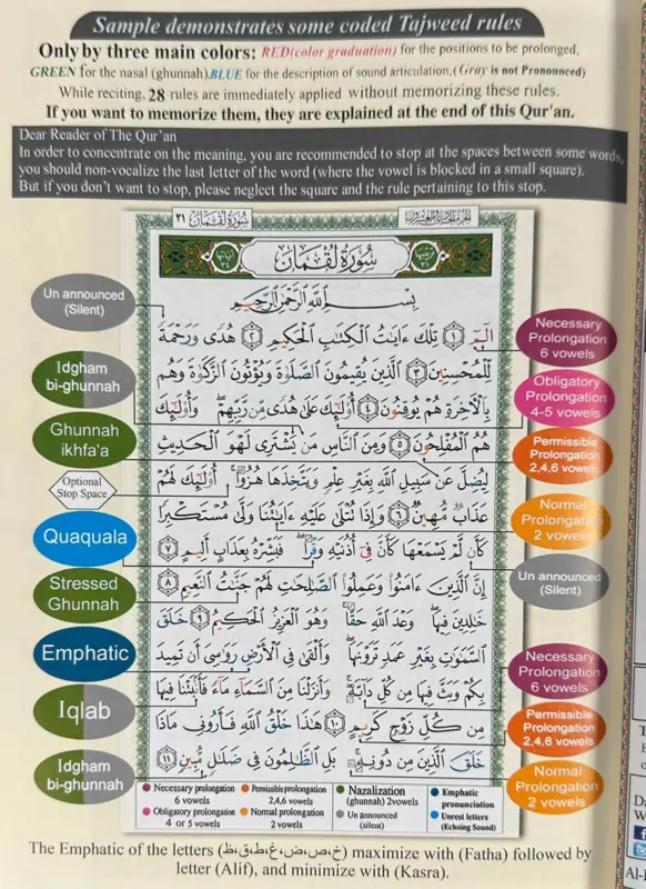 Tajweed Koran mit englischer Übersetzung und lateinischen Buchstaben