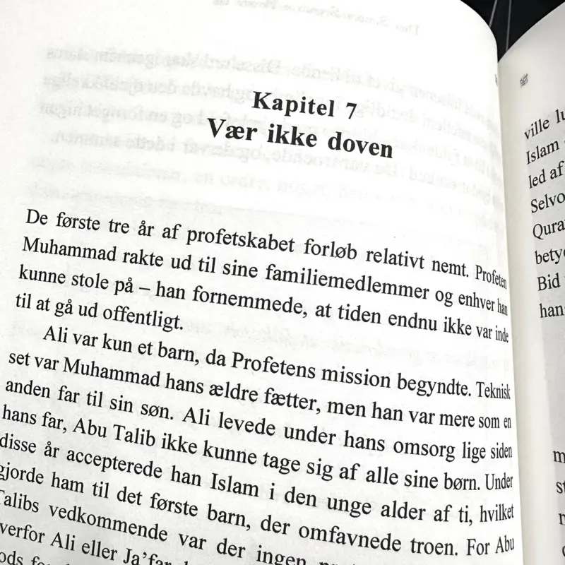 Den Simple Seerah (Dansk)