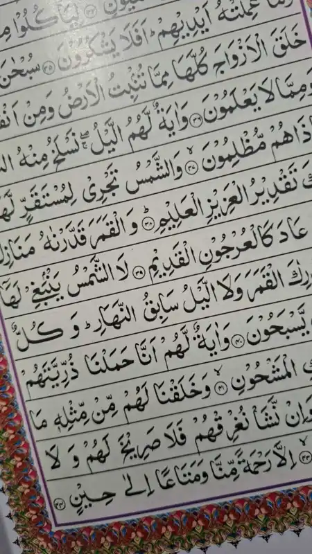 Surah Yaseen - endast på arabiska