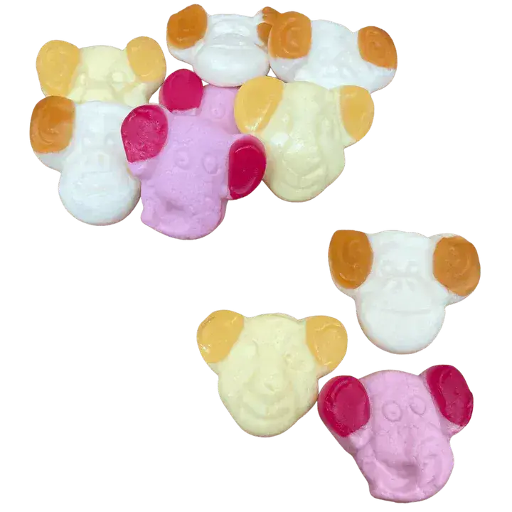 Zoo Mix, Katja 500g (bedst før 8/2026)