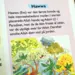 Koran Ordbog For Børn