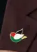 Palestine Badge fugl